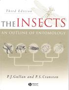 The Insects: An Outline of Entomology