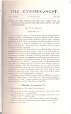 Notes on the nomenclature and variation of British species of the Peronea group of the Tortricidae