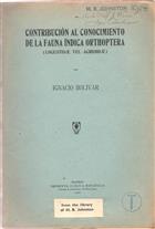 Contribución al Conocimiento de la Fauna Índica Orthoptera (Locustidæ vel Acridiidæ)