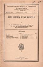 The Green June Beetle