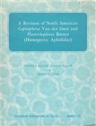 Revision of North American Capitophorus Van der Goot and Pleotrichophorus Börner (Homoptera: Aphididae)