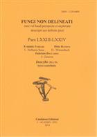 Fungi Non Delineati 73/74: Inocybe 3