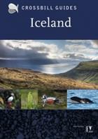 Crossbill Guide: Iceland