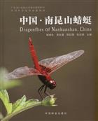Dragonflies of Nankunshan. China