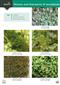 Guide to mosses and liverworts of woodlands (Identification Chart)