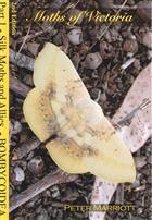 Moths of Victoria Pt 1: Bombycoidea - Silk Moths and Allies
