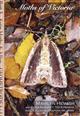 Moths of Victoria Pt 5: Geometroidea (A) (Geometridae: Ennominae - Nacophorini) - Satin Moths & Allies