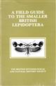 A Field Guide to Smaller British Lepidoptera