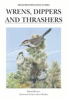 Wrens, Dippers and Thrashers