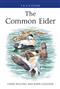 The Common Eider