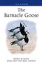 The Barnacle Goose