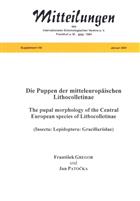 Die Puppen der mitteleuropäischen Litchocolletinae / Pupal morphology of the Central European species of Lithocolletinae (Insecta: Lepidoptera: Gracillariidae)