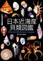 Marine Mollusks in Japan