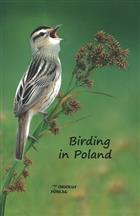 Birding in Poland