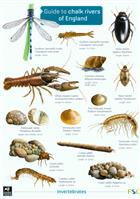 Guide to chalk rivers of England (Identification Chart)