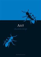 Ant