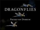 Dragonflies:Magnificent Creatures of Water Air and Land
