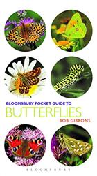 Pocket Guide to Butterflies