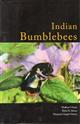 Indian Bumblebees