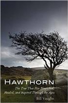 Hawthorn: The Tree That Has Nourished Healed and Inspired Through the Ages