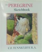 The Peregrine Sketchbook