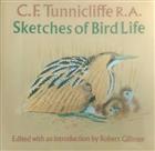 Sketches of Bird Life