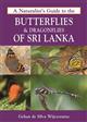 A Naturalist's Guide to the Butterflies and Dragonflies of Sri Lanka