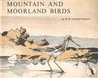 Mountain and Moorland Birds