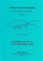 Synopses on Palaearctic Collembola Pt 7/1: Capbryinae & Entomobryini