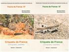 Criquets de France (Orthoptera Caelifera) Vol. 1(a+b) Faune de France 97