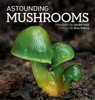 Astounding Mushrooms