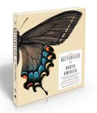 The Butterflies of North America: Titian Peales Lost Manuscript