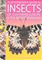 A photographic guide to Insects of southern Europe and the Mediterranean