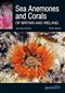 Sea Anemones and Corals of Britain and Ireland