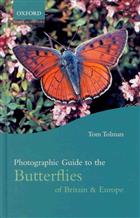 Photographic Guide to Butterflies of Britain and Europe