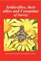 Soldierflies, their allies and Conopidae of Surrey