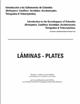 Introduccion a los saltamontes de Colombia (Orthoptera: Caelifera, Acridomorpha, Tetrigoidea & Tridactyloidea) (Laminas-Plates)