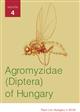 Agromyzidae (Diptera) of Hungary. Vol. 4: Phytomyzinae III