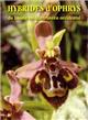 Hybrides d'Ophrys du bassin méditerranéen occidental