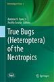 True Bugs (Heteroptera) of the Neotropics