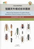 Album of Type Specimens of Longhorn Beetles Deposited in National Zoological Museum of China / 国家动物博物馆馆藏天牛模式标本图册