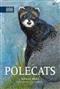 Polecats