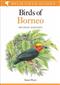 Birds of Borneo