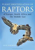 Flight Identification of Raptors of Europe North Africa and the Middle East