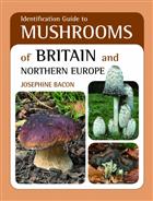 Identification Guide to Mushrooms of Britain and Northern Europe