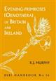 Evening-Primroses (Oenothera) of Britain and Ireland