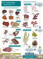 Rocky Shore Name Trail (Identification Chart)