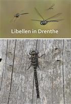 Libellen in Drenthe