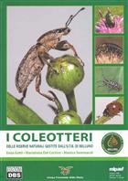 Coleotteri delle riserve naturali Gestite dall'U.T.B. di Belluno