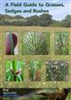 Field Guide to Grasses, Sedges and Rushes